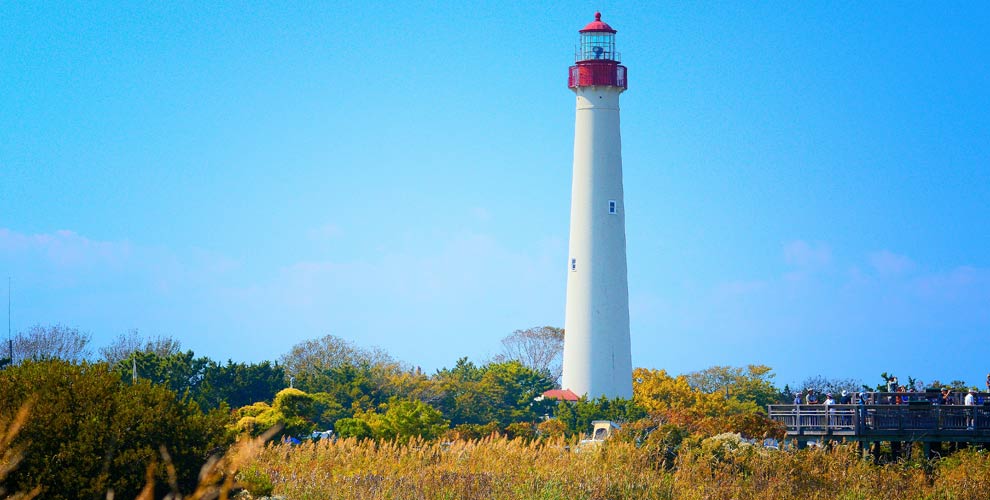 Biking, Birding & Wildlife | Boomerang!